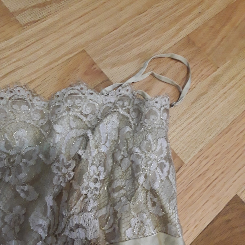 Pale gold silk and lace Loft cami! - Picture 3 of 6